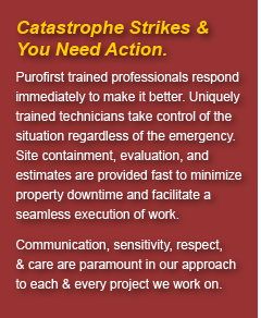Catastrophe Strikes & You Need Action.  Purofirst trained professionals respond immediately to make it better.  Uniquely trained technicians take control of the situation regardless of the emergency. Site containment, evaluation, and estimates are provided fast to minimize property downtime and facilitate a seamless execution of work. Communication, sensitivity, respect, & care are paramount in our approach to each & every project we work on.