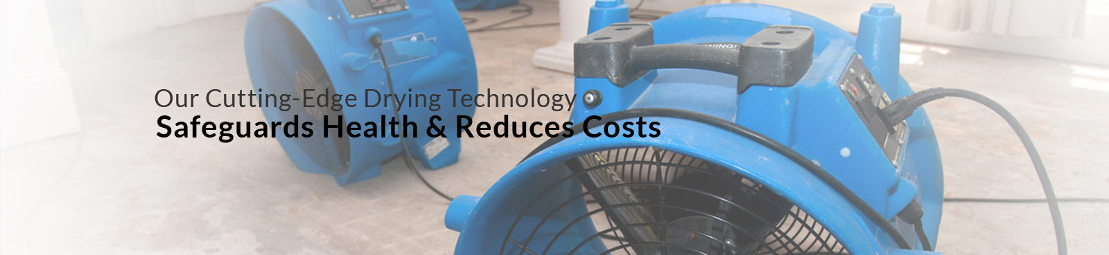 Mold Remediation Removal Testing Washington Dc Mold Remediation Removal And Clean Up In Washington Dc