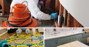 property damage restoration